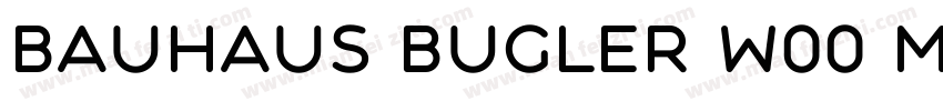 Bauhaus Bugler W00 Medium字体转换